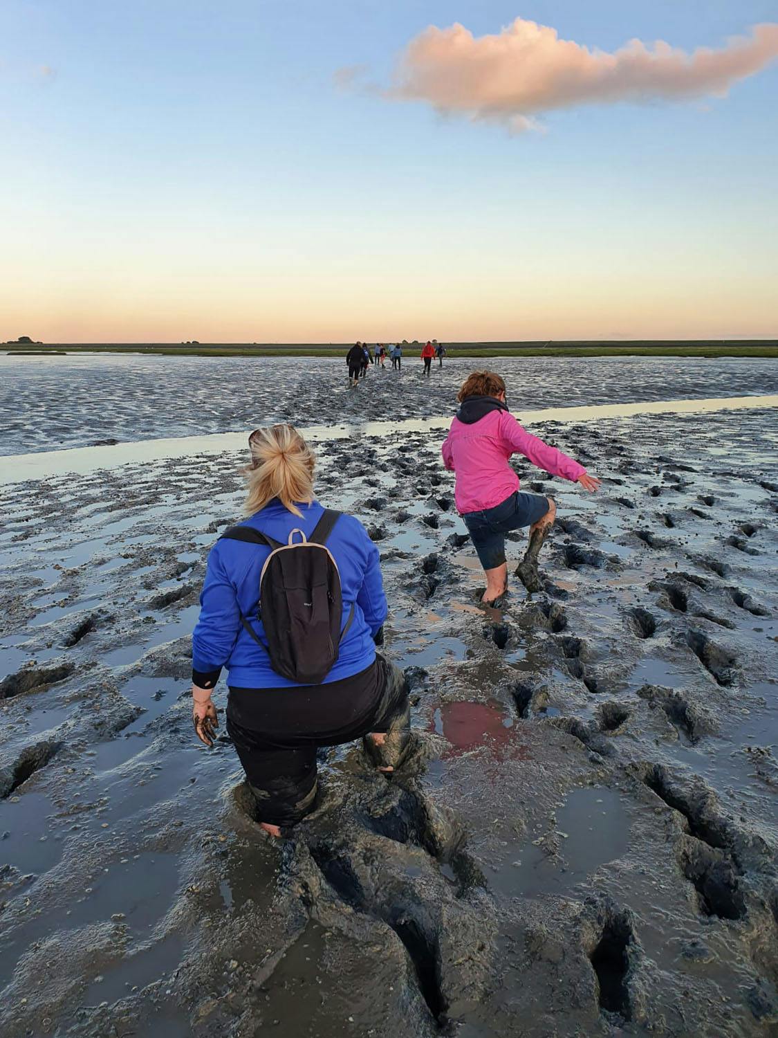 wadlopen - walking in wadden sea mud