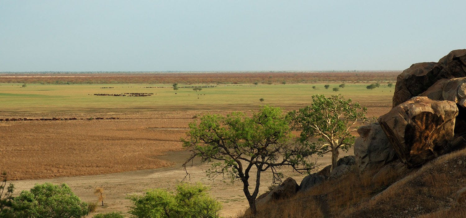 waza national park - savanna grassland